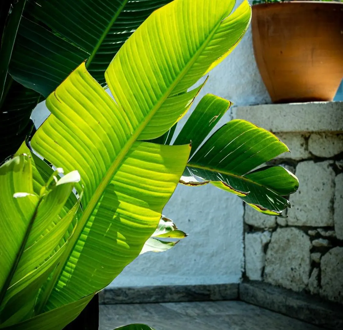 Pom Alacati Boutique Otel Cesme Turkey